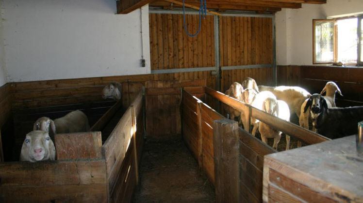 Michelas - Hof Umhausen Buitenkant foto